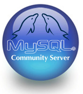 MySQL 6.0